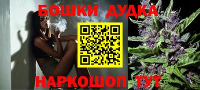 прущие крисы Будённовск