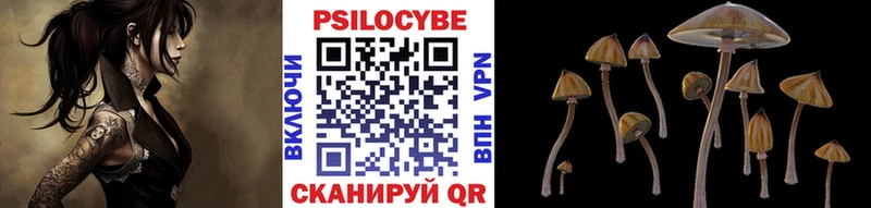закладка  Лосино-Петровский  Псилоцибиновые грибы GOLDEN TEACHER 