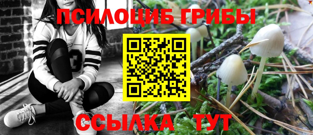 Лосино-Петровский  Псилоцибиновые грибы Psilocybe  Вход с VPN 