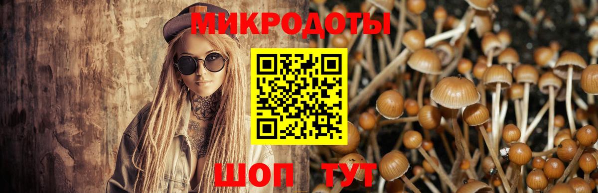 Псилоцибиновые грибы мухоморы Лосино-Петровский