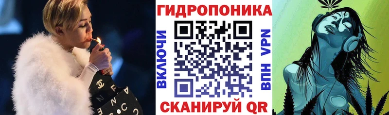Шишки марихуана сатива  где купить   Лосино-Петровский 